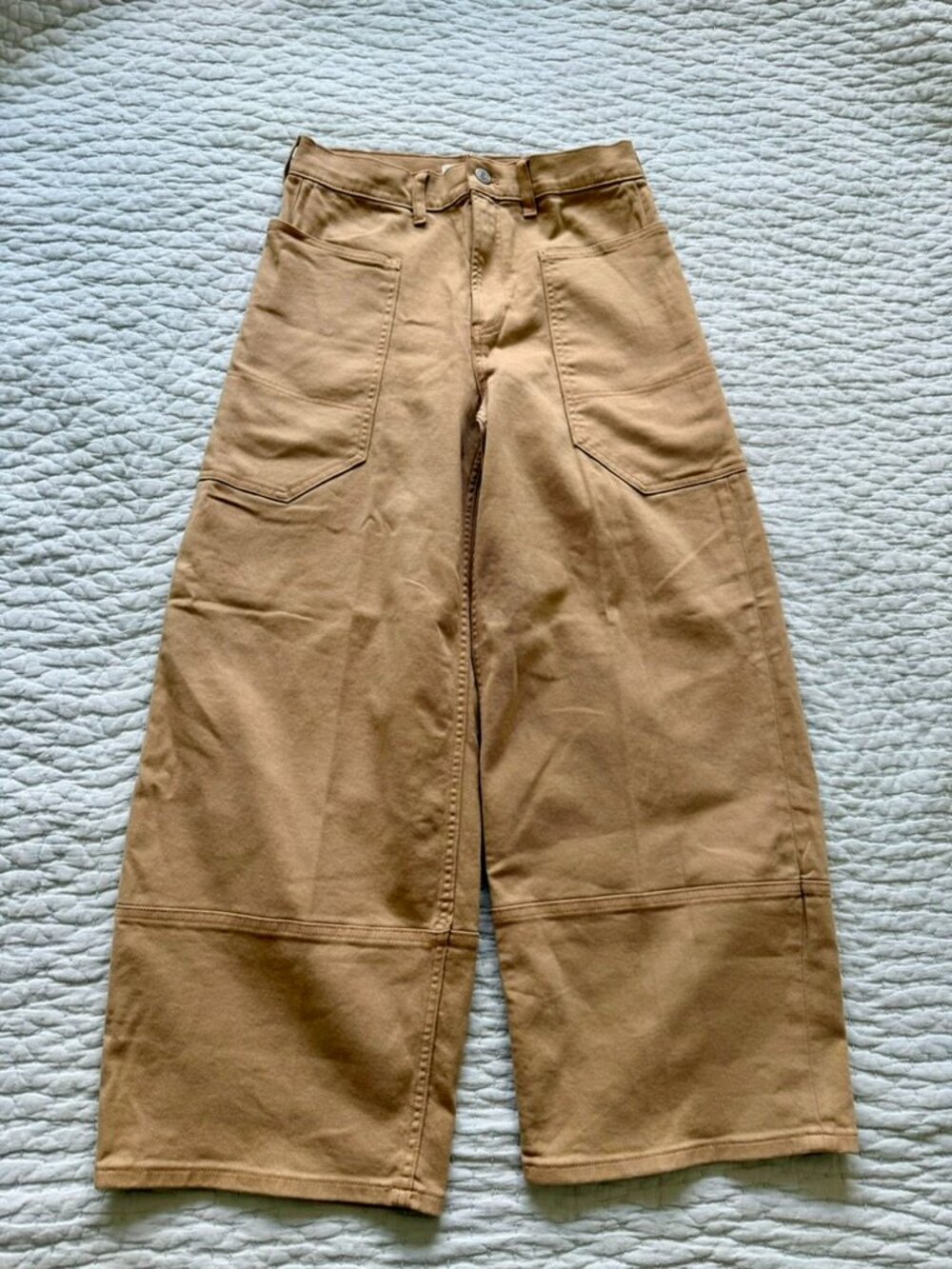 Everlane Wide-Leg Workwear Pants in Camel Tan 28R